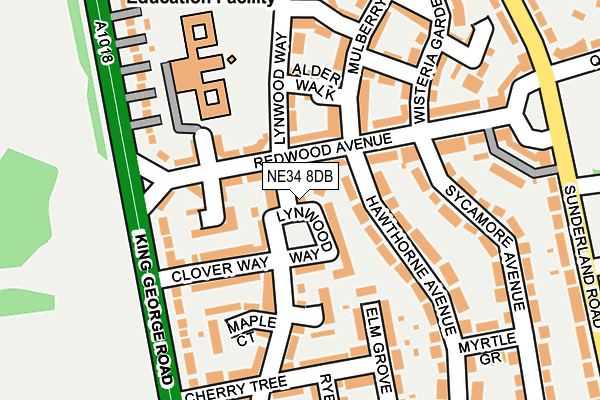 NE34 8DB map - OS OpenMap – Local (Ordnance Survey)