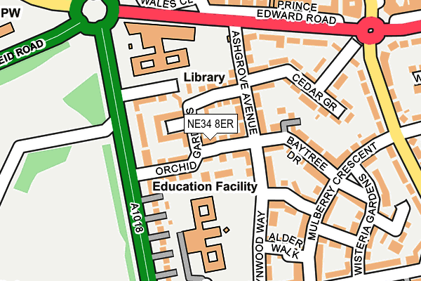 NE34 8ER map - OS OpenMap – Local (Ordnance Survey)
