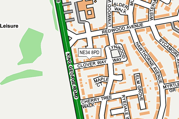 NE34 8PD map - OS OpenMap – Local (Ordnance Survey)