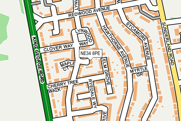 NE34 8PE map - OS OpenMap – Local (Ordnance Survey)