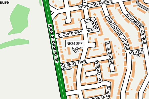 NE34 8PF map - OS OpenMap – Local (Ordnance Survey)