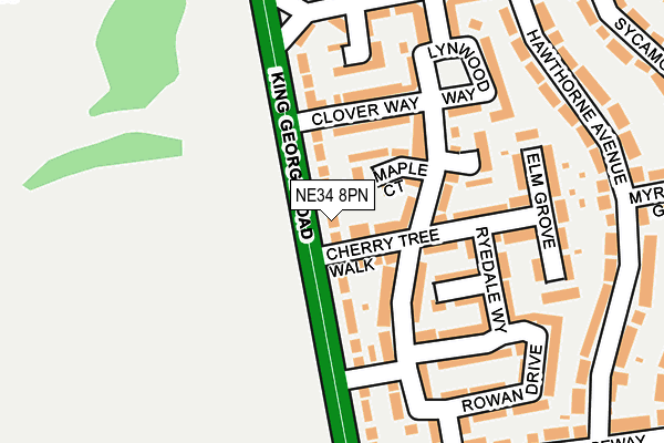 NE34 8PN map - OS OpenMap – Local (Ordnance Survey)