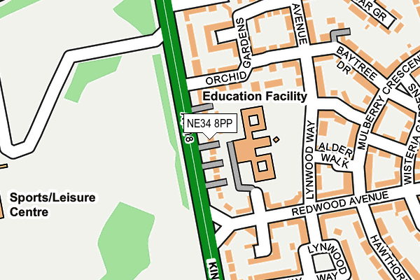 NE34 8PP map - OS OpenMap – Local (Ordnance Survey)