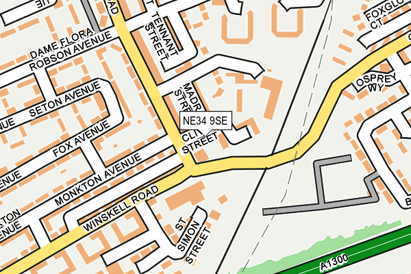 NE34 9SE map - OS OpenMap – Local (Ordnance Survey)