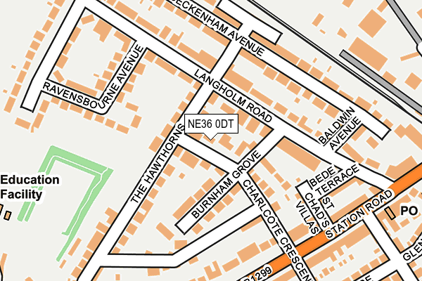 NE36 0DT map - OS OpenMap – Local (Ordnance Survey)