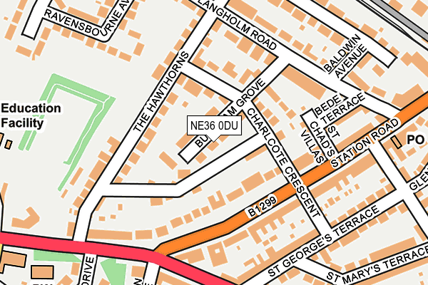 NE36 0DU map - OS OpenMap – Local (Ordnance Survey)