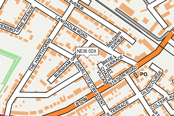 NE36 0DX map - OS OpenMap – Local (Ordnance Survey)