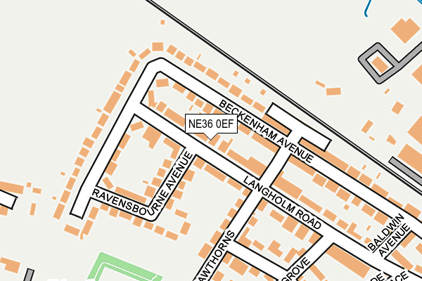 NE36 0EF map - OS OpenMap – Local (Ordnance Survey)