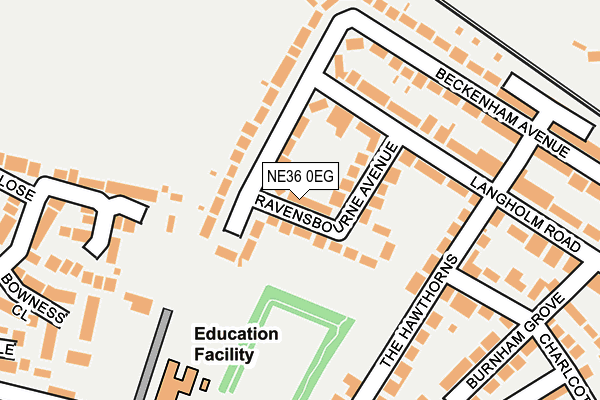 NE36 0EG map - OS OpenMap – Local (Ordnance Survey)