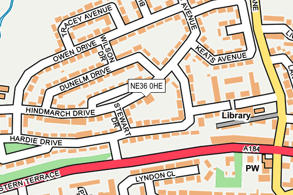 NE36 0HE map - OS OpenMap – Local (Ordnance Survey)