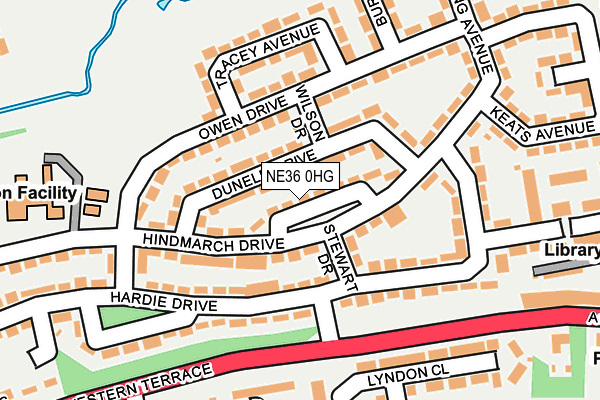 NE36 0HG map - OS OpenMap – Local (Ordnance Survey)