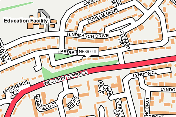 NE36 0JL map - OS OpenMap – Local (Ordnance Survey)