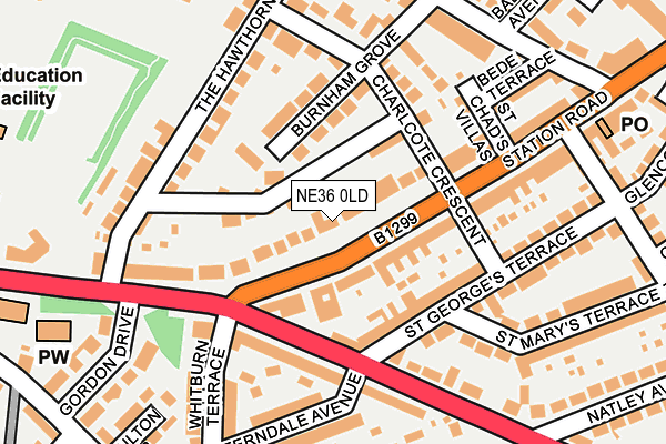 NE36 0LD map - OS OpenMap – Local (Ordnance Survey)