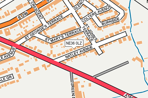 NE36 0LZ map - OS OpenMap – Local (Ordnance Survey)
