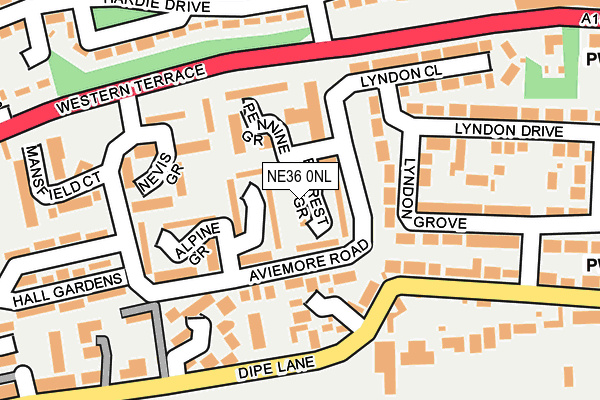 NE36 0NL map - OS OpenMap – Local (Ordnance Survey)