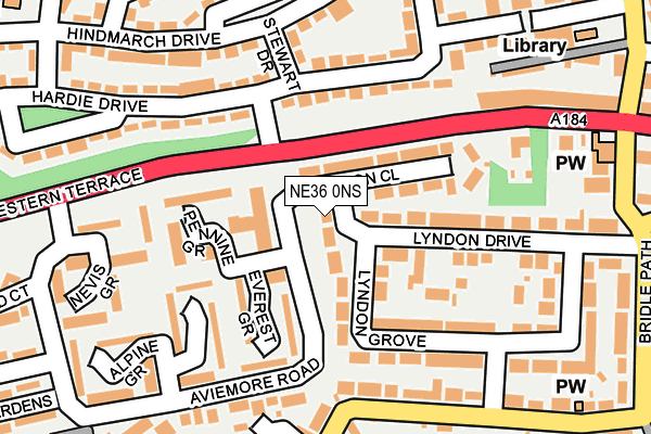 NE36 0NS map - OS OpenMap – Local (Ordnance Survey)