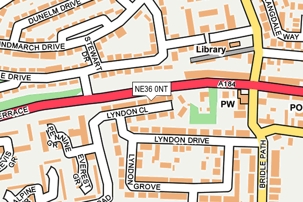 NE36 0NT map - OS OpenMap – Local (Ordnance Survey)