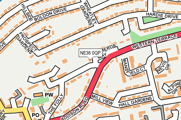 NE36 0QP map - OS OpenMap – Local (Ordnance Survey)