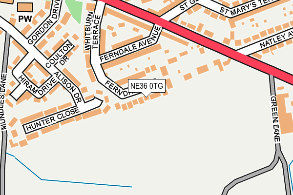 NE36 0TG map - OS OpenMap – Local (Ordnance Survey)