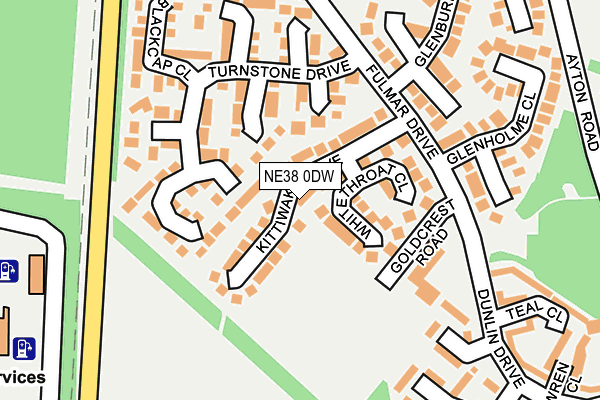 NE38 0DW map - OS OpenMap – Local (Ordnance Survey)