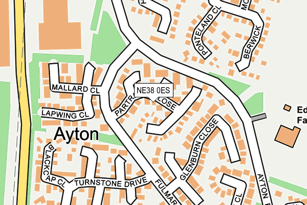 Map of LYNCH BUSINESS CONSULTANTS LIMITED at local scale