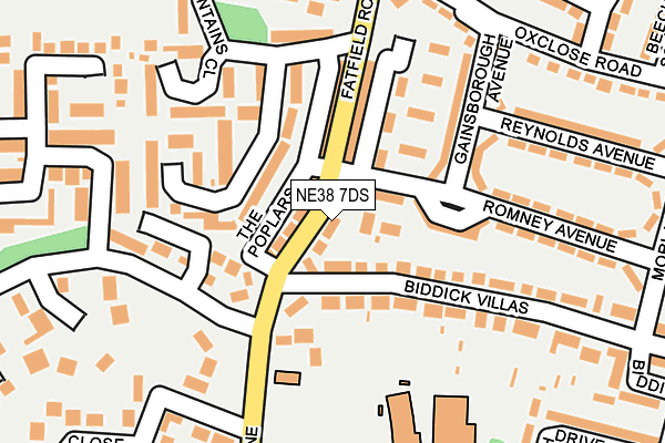 NE38 7DS map - OS OpenMap – Local (Ordnance Survey)