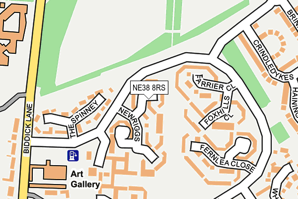 NE38 8RS map - OS OpenMap – Local (Ordnance Survey)