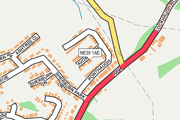 NE39 1AE map - OS OpenMap – Local (Ordnance Survey)