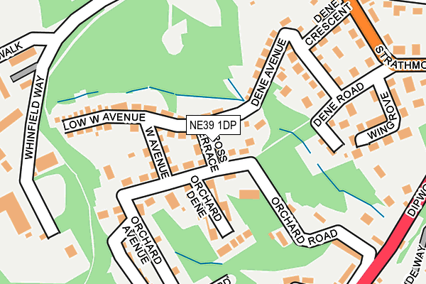 NE39 1DP map - OS OpenMap – Local (Ordnance Survey)