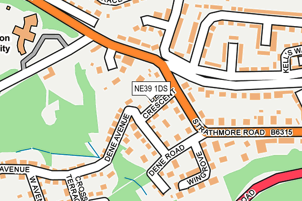 NE39 1DS map - OS OpenMap – Local (Ordnance Survey)