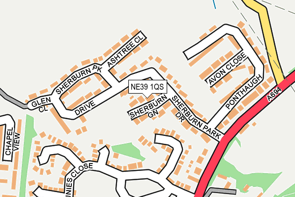 NE39 1QS map - OS OpenMap – Local (Ordnance Survey)
