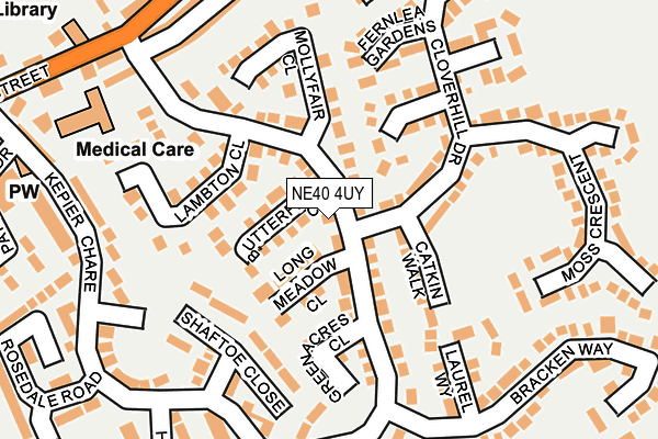 Map of XENA HEALTH & AESTHETICS LTD at local scale