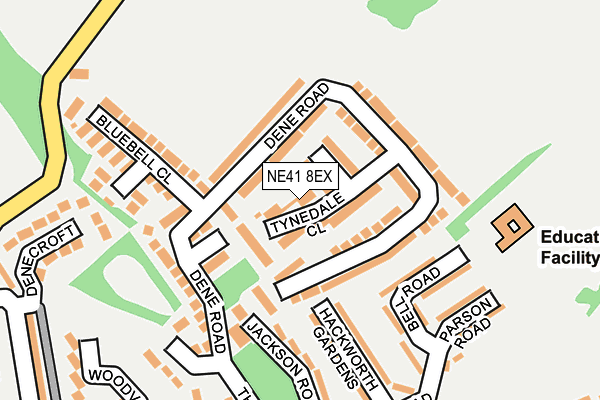 NE41 8EX map - OS OpenMap – Local (Ordnance Survey)