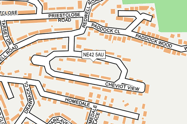 NE42 5AU map - OS OpenMap – Local (Ordnance Survey)