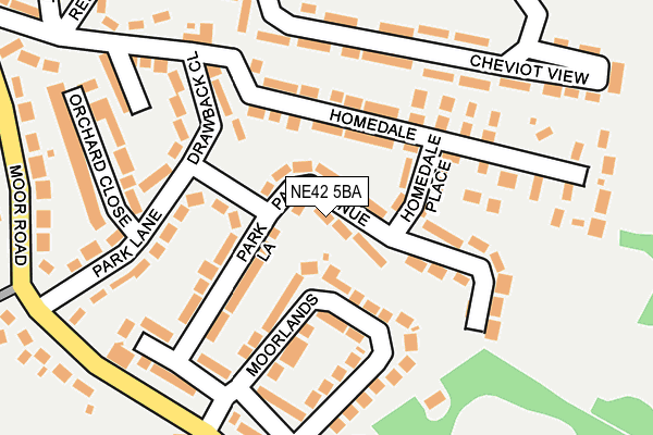 NE42 5BA map - OS OpenMap – Local (Ordnance Survey)