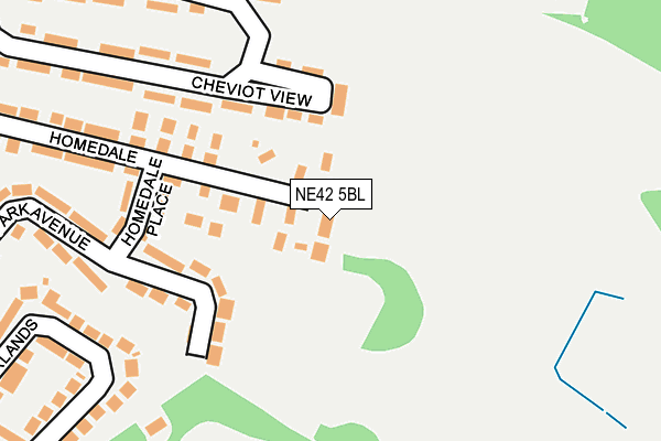 NE42 5BL map - OS OpenMap – Local (Ordnance Survey)