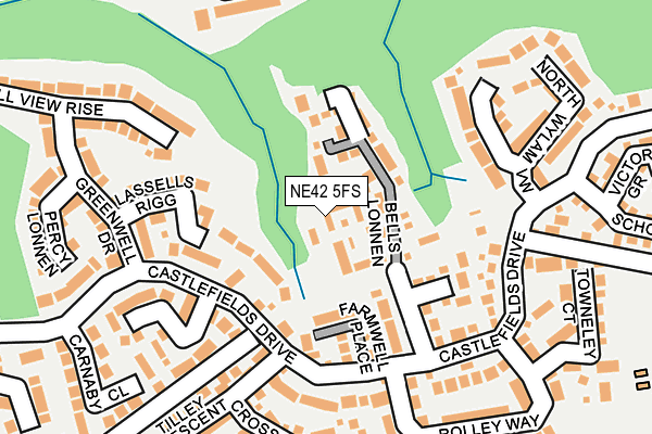 NE42 5FS map - OS OpenMap – Local (Ordnance Survey)