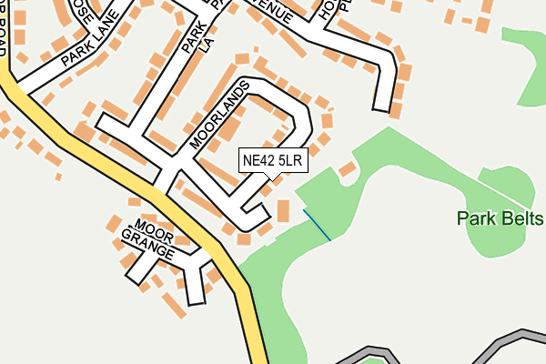 NE42 5LR map - OS OpenMap – Local (Ordnance Survey)