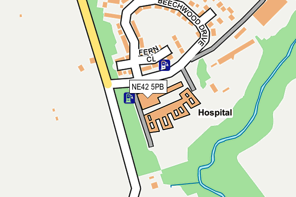 NE42 5PB map - OS OpenMap – Local (Ordnance Survey)