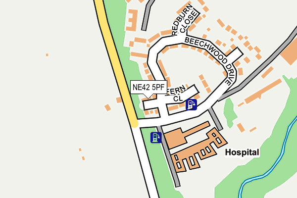 NE42 5PF map - OS OpenMap – Local (Ordnance Survey)