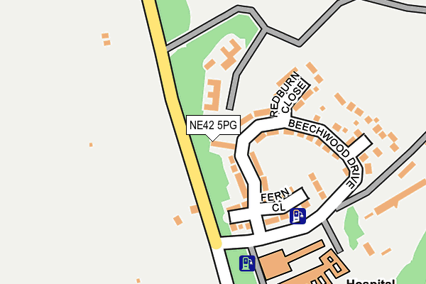 NE42 5PG map - OS OpenMap – Local (Ordnance Survey)