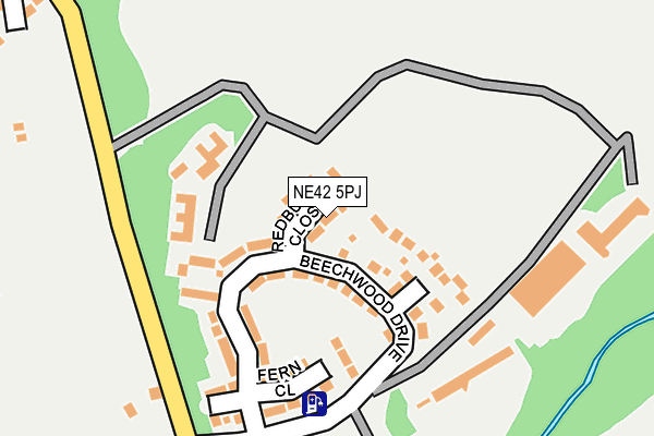 NE42 5PJ map - OS OpenMap – Local (Ordnance Survey)