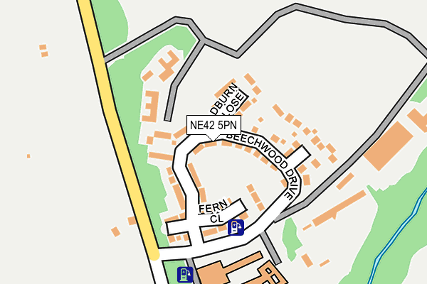 NE42 5PN map - OS OpenMap – Local (Ordnance Survey)