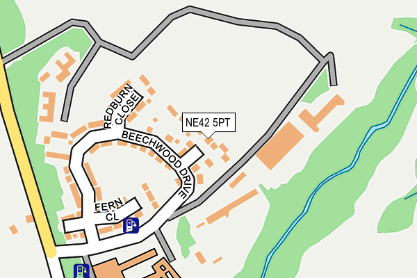 NE42 5PT map - OS OpenMap – Local (Ordnance Survey)