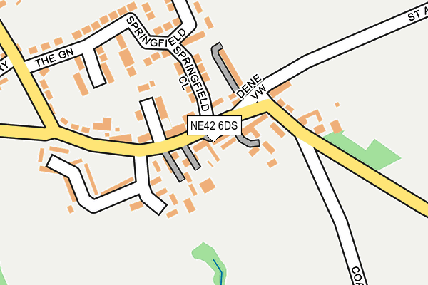 NE42 6DS map - OS OpenMap – Local (Ordnance Survey)