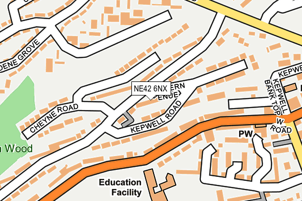 NE42 6NX map - OS OpenMap – Local (Ordnance Survey)