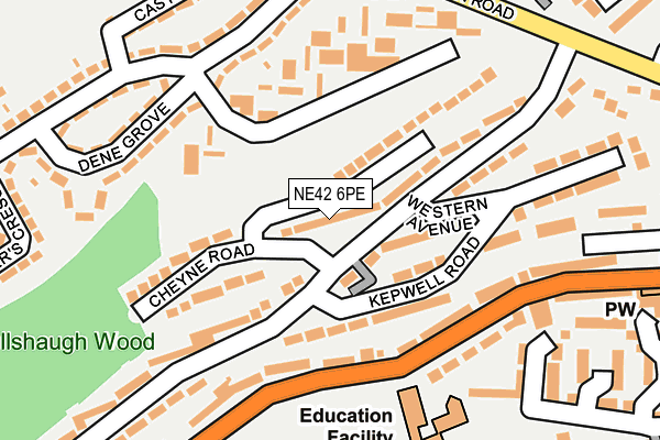 NE42 6PE map - OS OpenMap – Local (Ordnance Survey)