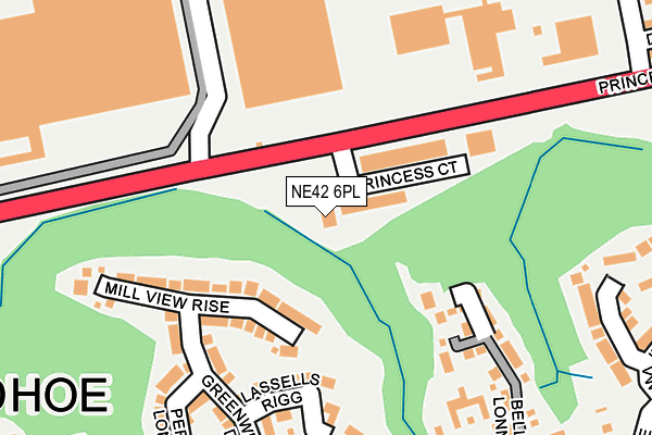 NE42 6PL map - OS OpenMap – Local (Ordnance Survey)