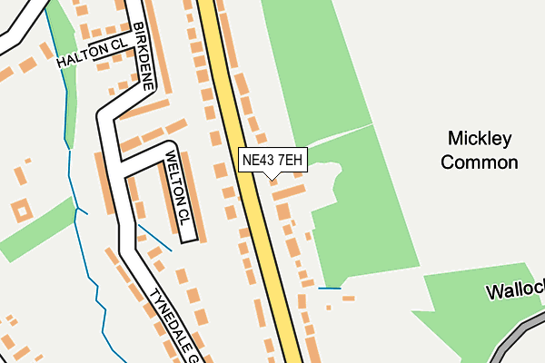 NE43 7EH map - OS OpenMap – Local (Ordnance Survey)