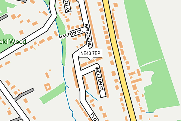 NE43 7EP map - OS OpenMap – Local (Ordnance Survey)